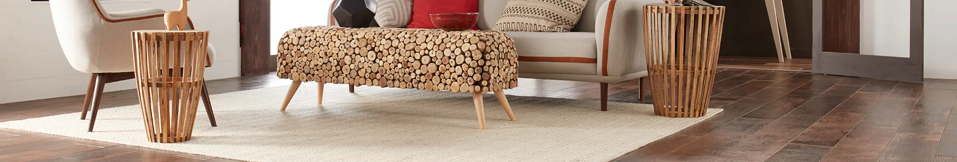 area rug in living space