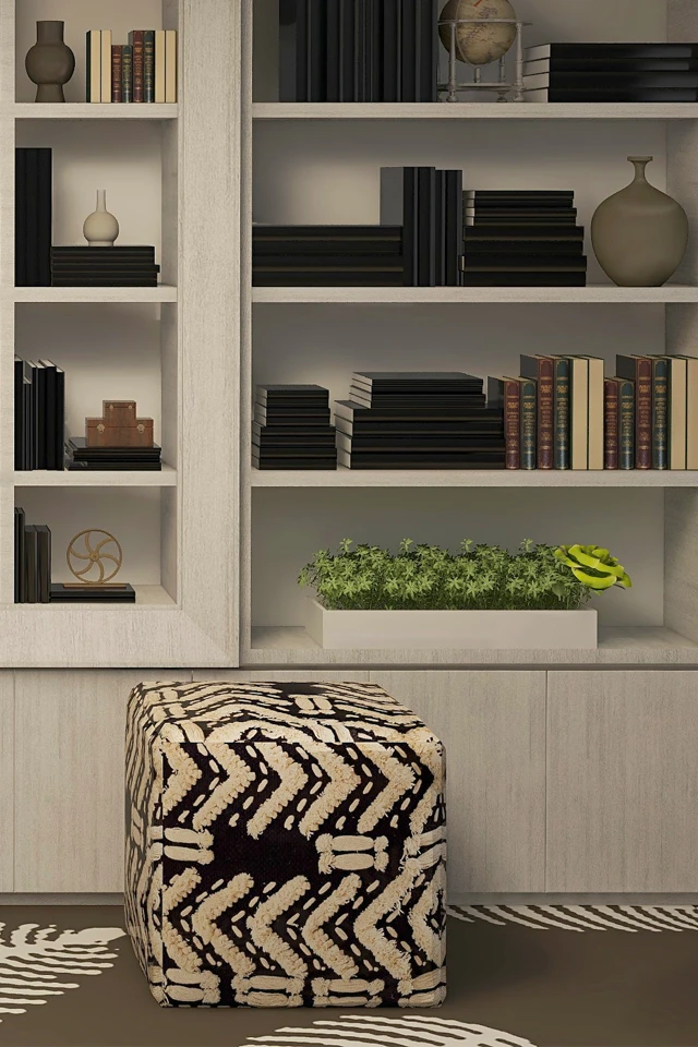 bookcase with cushion